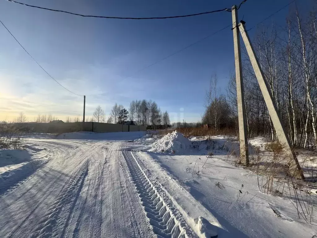 Участок в Новосибирская область, Новосибирский район, Барышевский ... - Фото 0