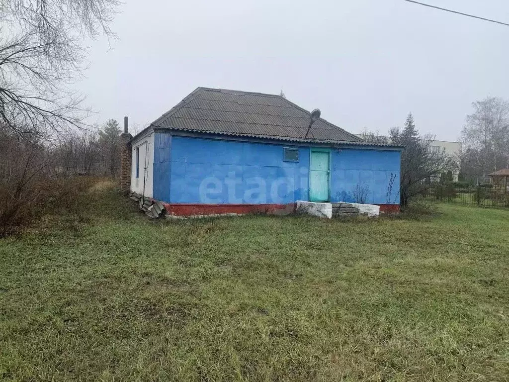 Торговая площадь в Белгородская область, Вейделевский район, с. Белый ... - Фото 1