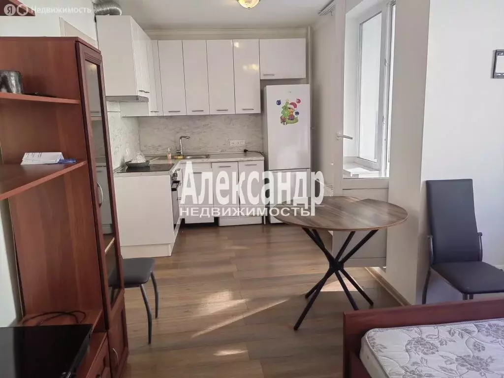 Квартира-студия: Мурино, Ручьёвский проспект, 4/26 (23.9 м) - Фото 1