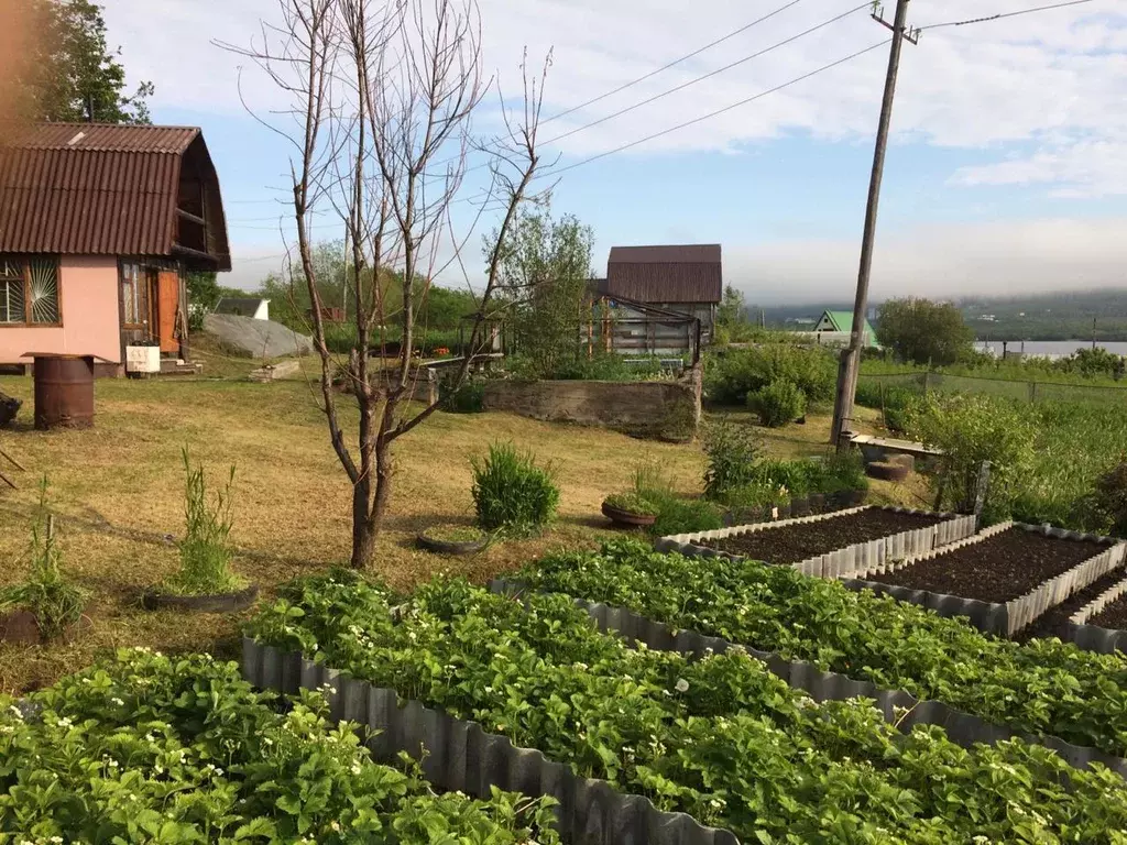 Купить Частный Дом В Мильково Камчатский Край