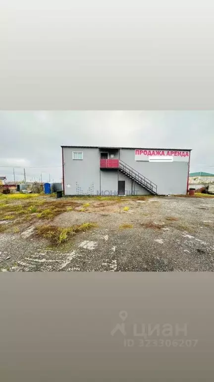 Помещение свободного назначения в Чувашия, Новочебоксарск ... - Фото 1