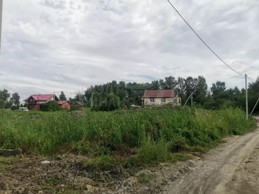 Участок в Калининградская область, Гурьевский муниципальный округ, ... - Фото 1