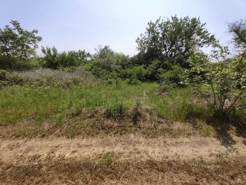 Участок в Краснодарский край, Ейск Виктория СНТ, ул. 7-я (10.0 сот.) - Фото 2