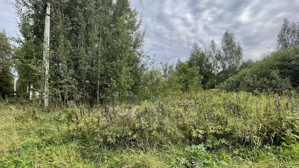 Участок в Московская область, Клин городской округ, д. Сидорково ул. ... - Фото 1
