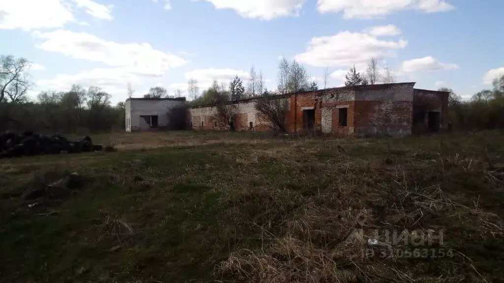 Производственное помещение в Владимирская область, Судогодский район, ... - Фото 0