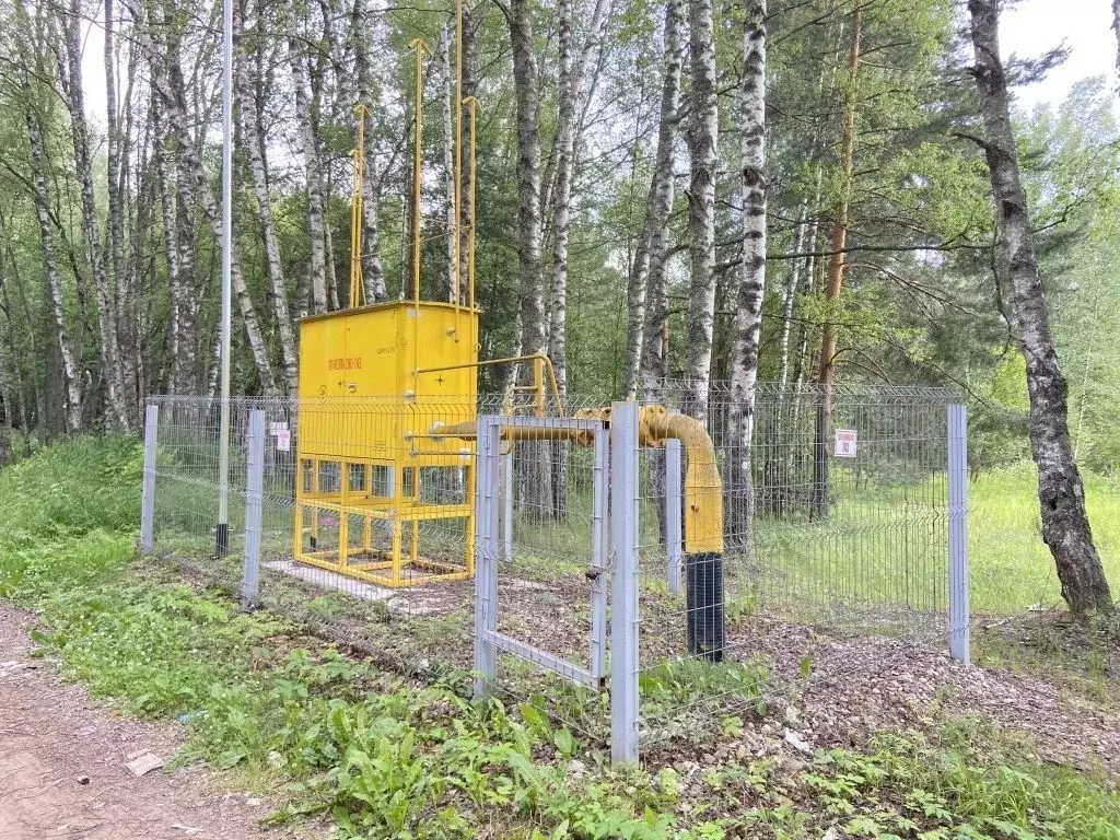 Участок в Костромская область, Красносельский район, Боровиковское ... - Фото 2