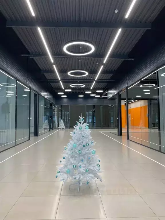 Помещение свободного назначения в Свердловская область, Екатеринбург ... - Фото 2