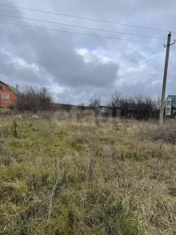 Участок в Воронежская область, Хохольский рп  (14.0 сот.) - Фото 2