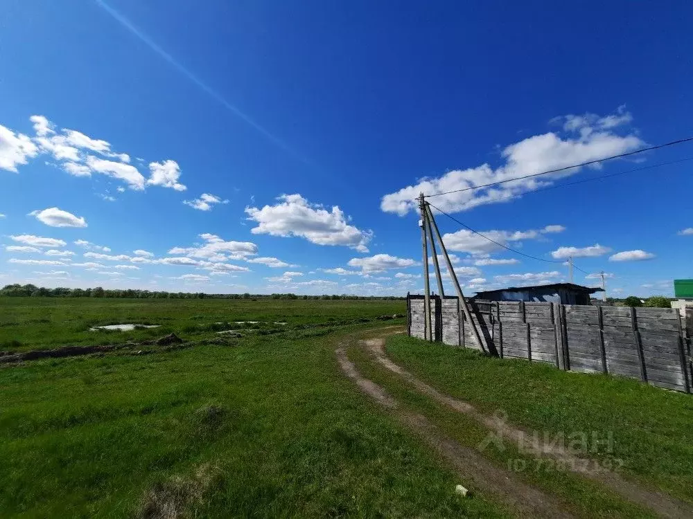 Купить Землю В Агропустыни Рязанского Района