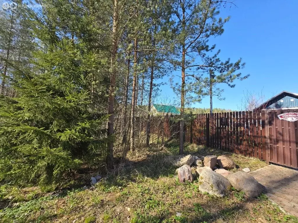 Участок в городской посёлок Вырица, улица Жертв Революции (15 м) - Фото 2
