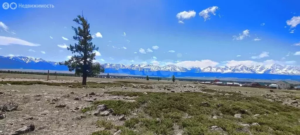 Участок в Республика Алтай, село Кош-Агач (100 м) - Фото 2