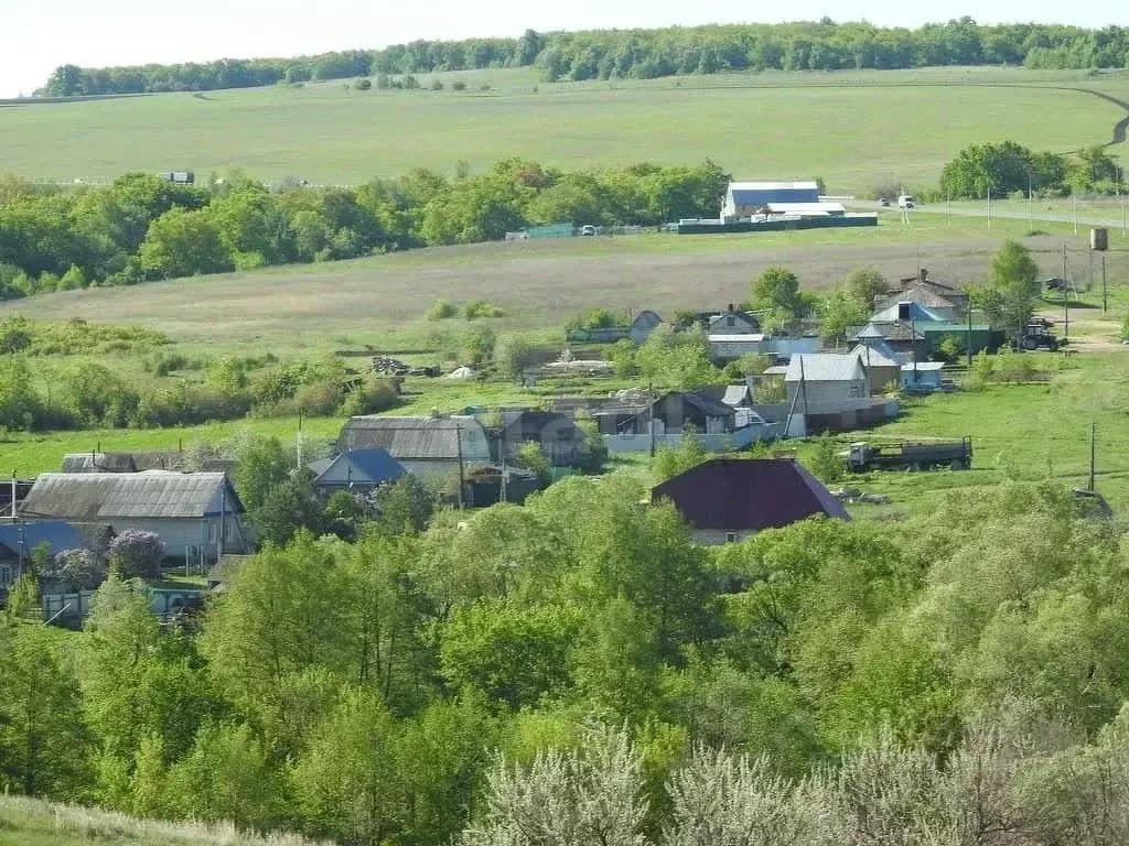 Участок в Саратовская область, д. Докторовка ул. Дачная, 5 (30.0 сот.) - Фото 2