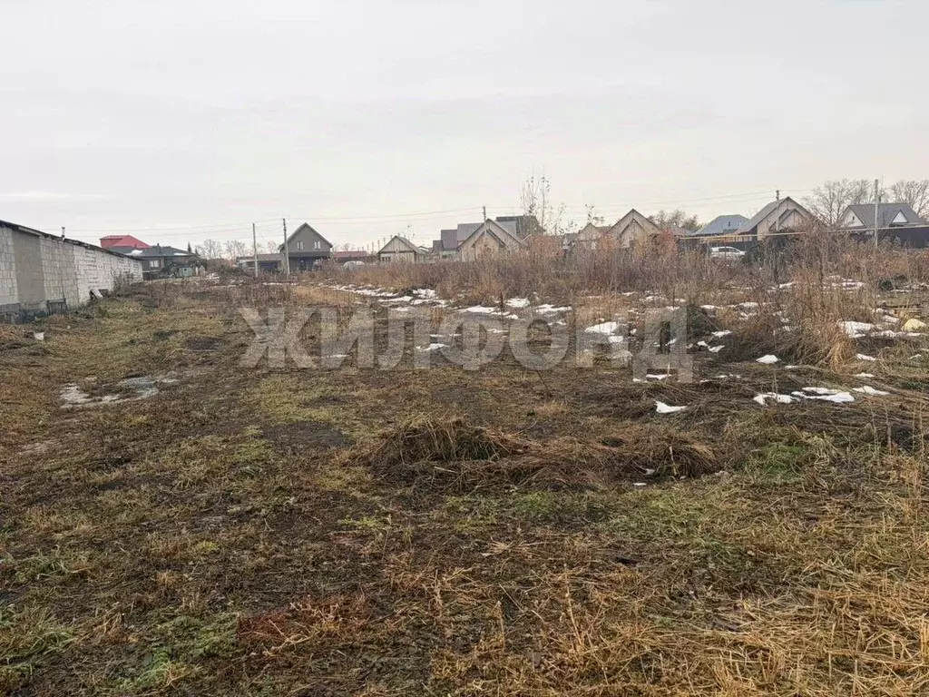 Участок в Новосибирская область, Новосибирск Тулинское заречье кп,  ... - Фото 0