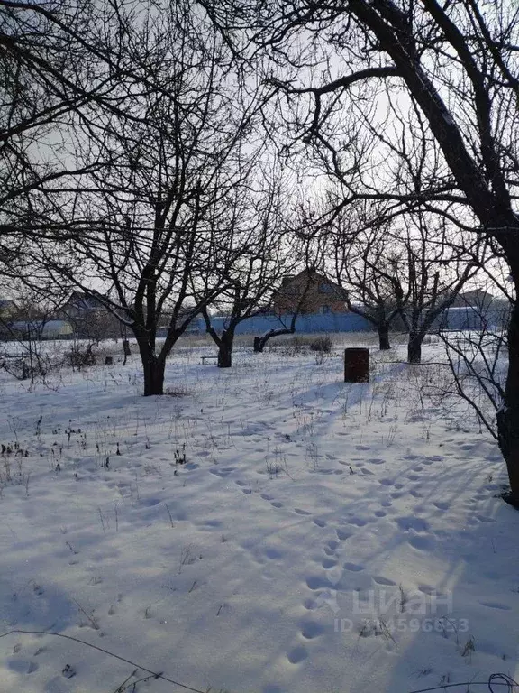 Участок в Белгородская область, Белгородский район, Никольское с/пос, ... - Фото 1