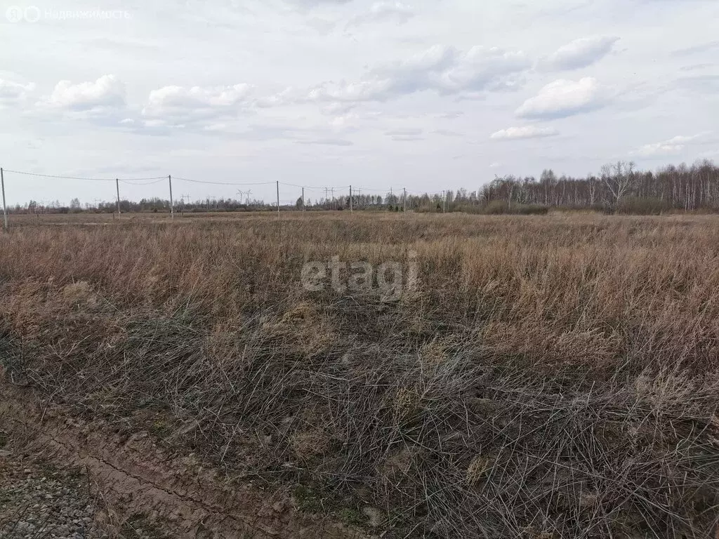 Участок в Тюменский район, село Борки (19.36 м) - Фото 0