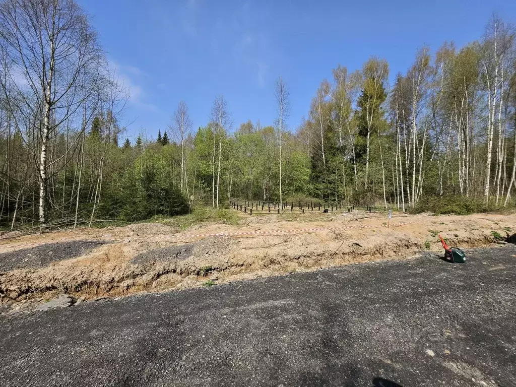 Участок в Московская область, Дмитровский муниципальный округ, д. ... - Фото 1