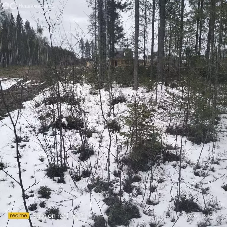 Участок в посёлок городского типа Краснозатонский, 1-я линия (11 м) - Фото 0