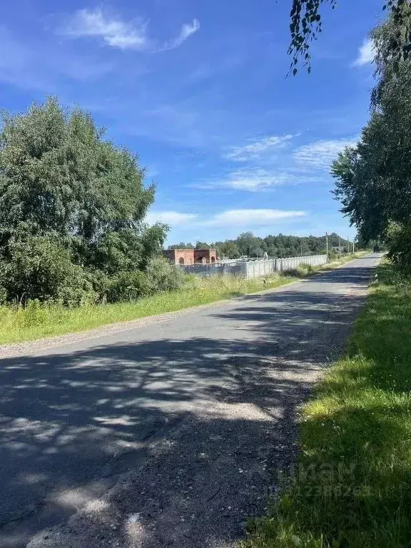 Участок в Калининградская область, Светлогорский городской округ, пос. ... - Фото 1