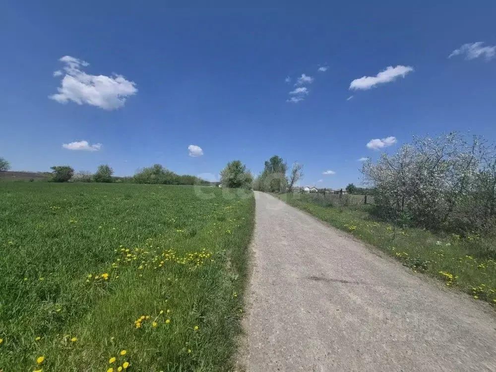 Участок в Белгородская область, Чернянский район, Русскохаланское ... - Фото 2
