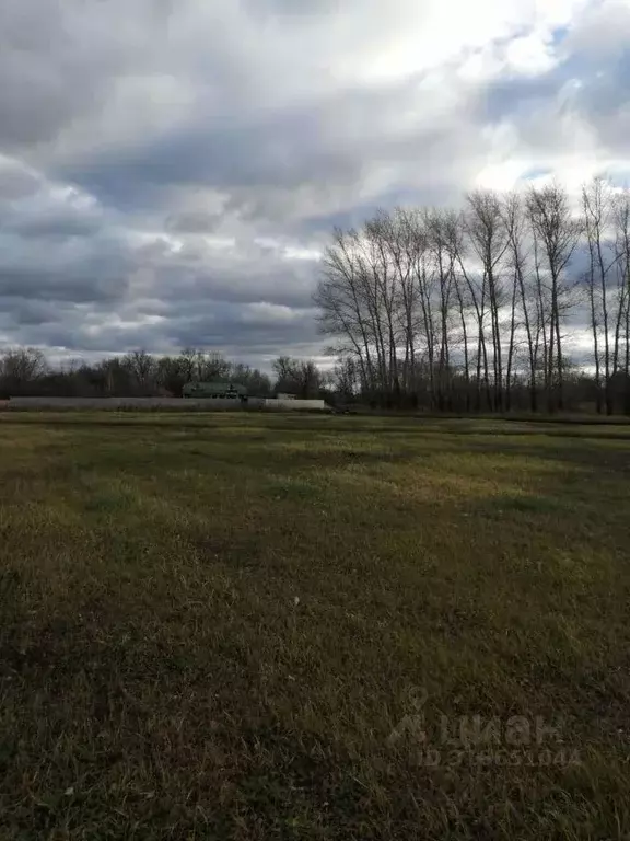 Участок в Воронежская область, Новоусманский район, ... - Фото 0