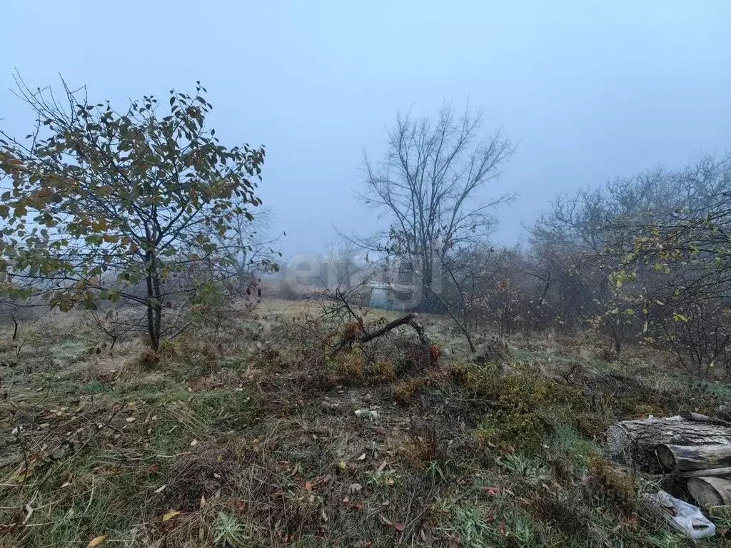 Участок в Ростовская область, Аксай Автомобилист садоводческое ... - Фото 1