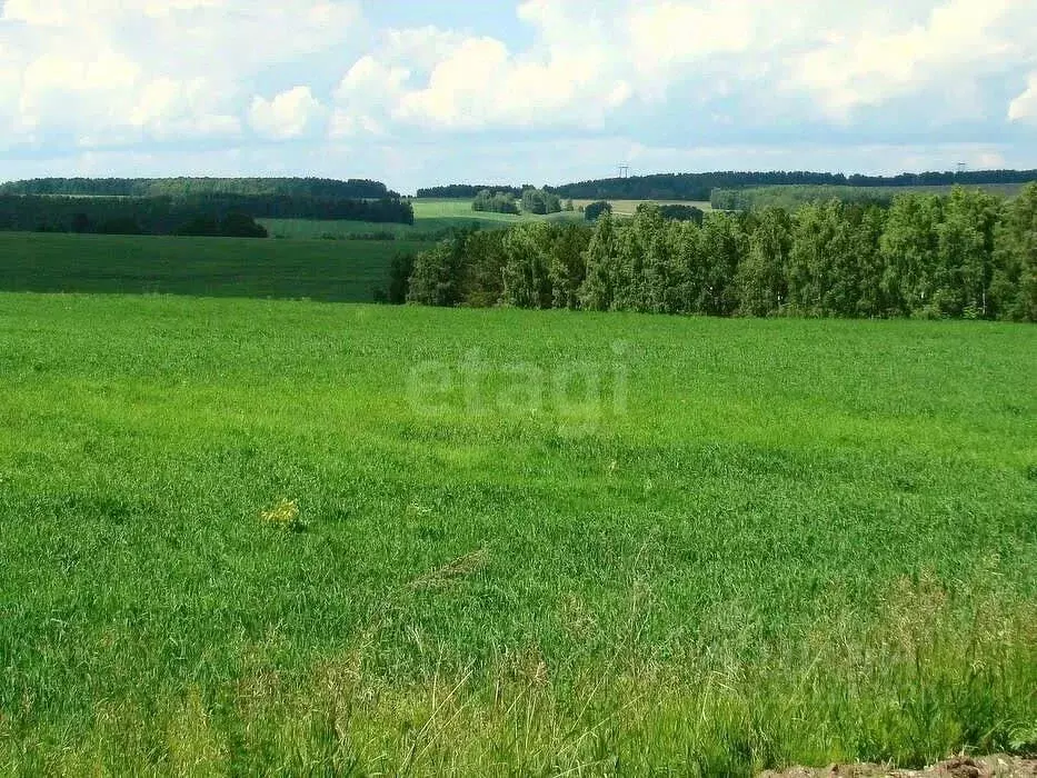 Участок в Ленинградская область, Ломоносовский район, Аннинское ... - Фото 1