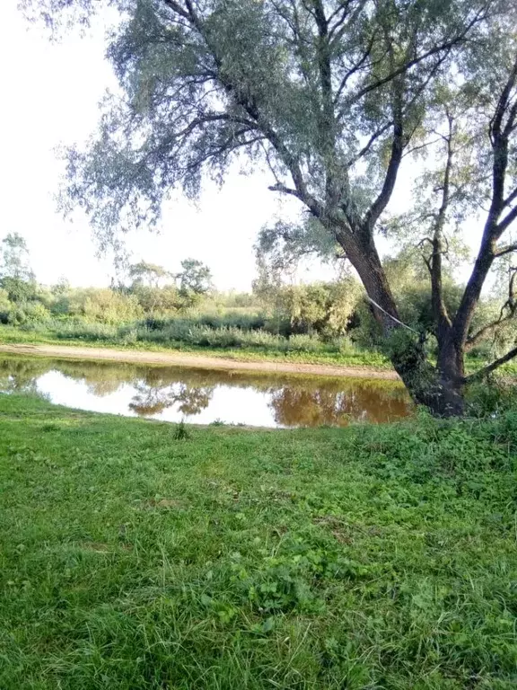 Участок в Новгородская область, Новгородский район, Бронницкое с/пос, ... - Фото 0