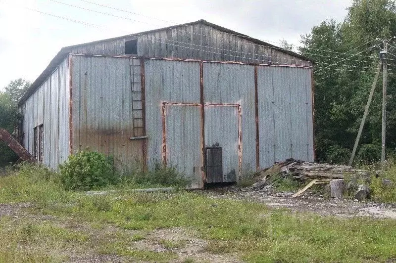 Производственное помещение в Новгородская область, Парфинский район, ... - Фото 1
