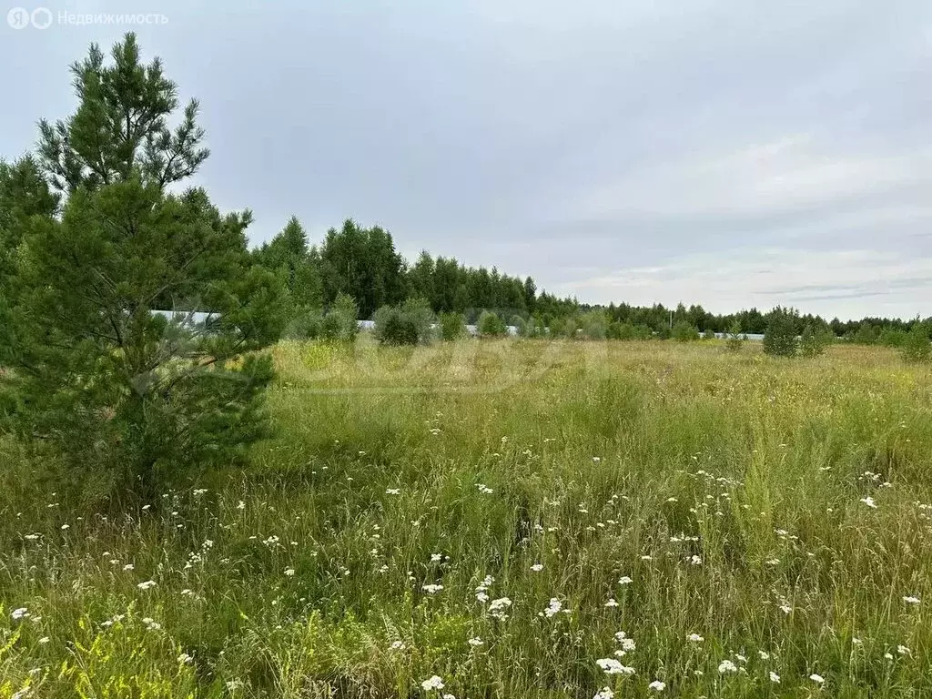 Участок в Ялуторовский район, село Сингуль Татарский (20 м) - Фото 1