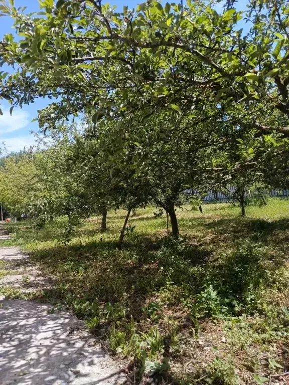 Участок в Краснодарский край, Староминская ст-ца ул. Победы, 11 (11.0 ... - Фото 1