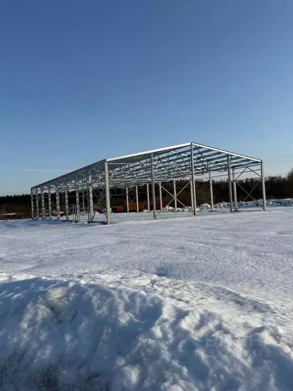 Склад в Московская область, Домодедово городской округ, с. Никитское  ... - Фото 1