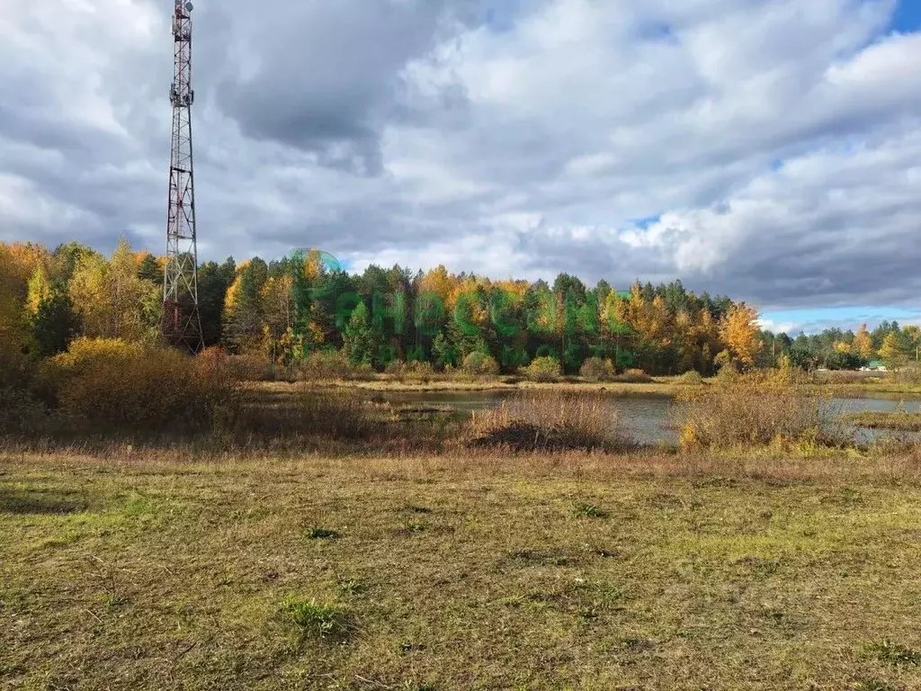 Участок в Брянская область, Карачевский район, Мылинское с/пос, пос. ... - Фото 2
