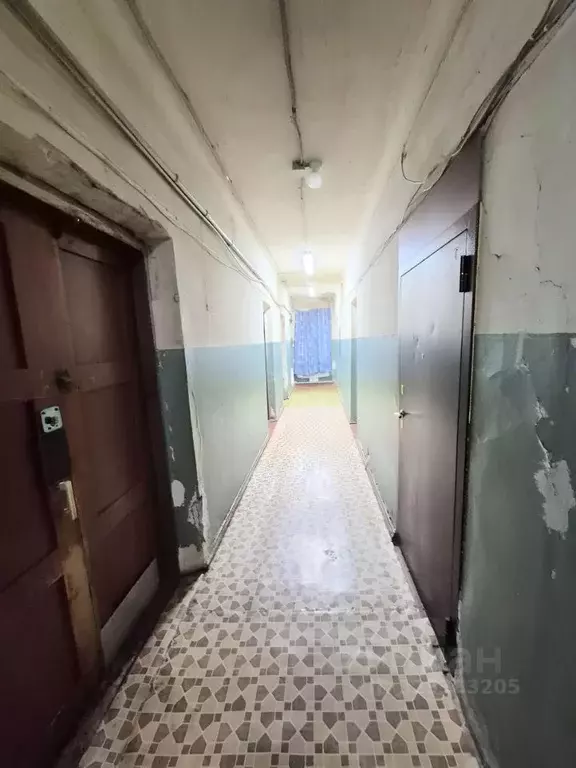 Комната Нижегородская область, Дзержинск Прибрежная тер., ул. Попова, ... - Фото 1