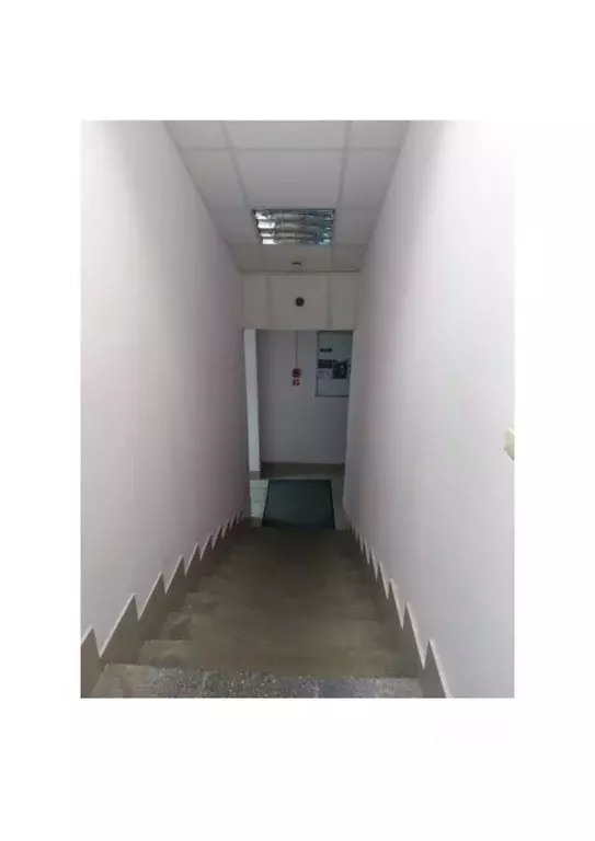 Помещение свободного назначения в Новосибирская область, Новосибирск ... - Фото 2