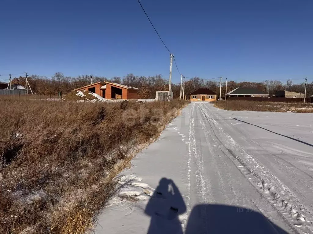 Участок в Амурская область, Благовещенский район, с. Кантон-Коммуна ... - Фото 1
