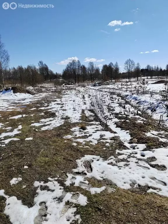 Участок в деревня Ручьи, улица Гаранина (30 м) - Фото 1