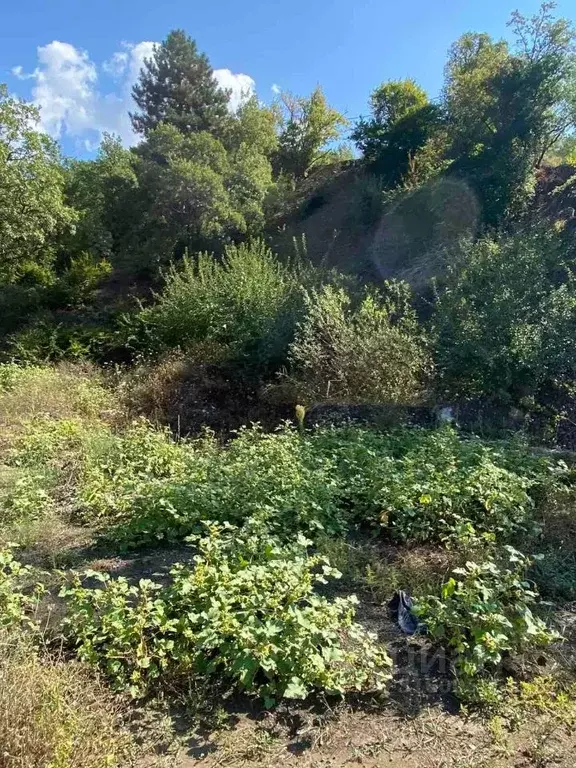 Участок в Крым, Ялта ул. Белобродского, 11 (10.0 сот.) - Фото 1