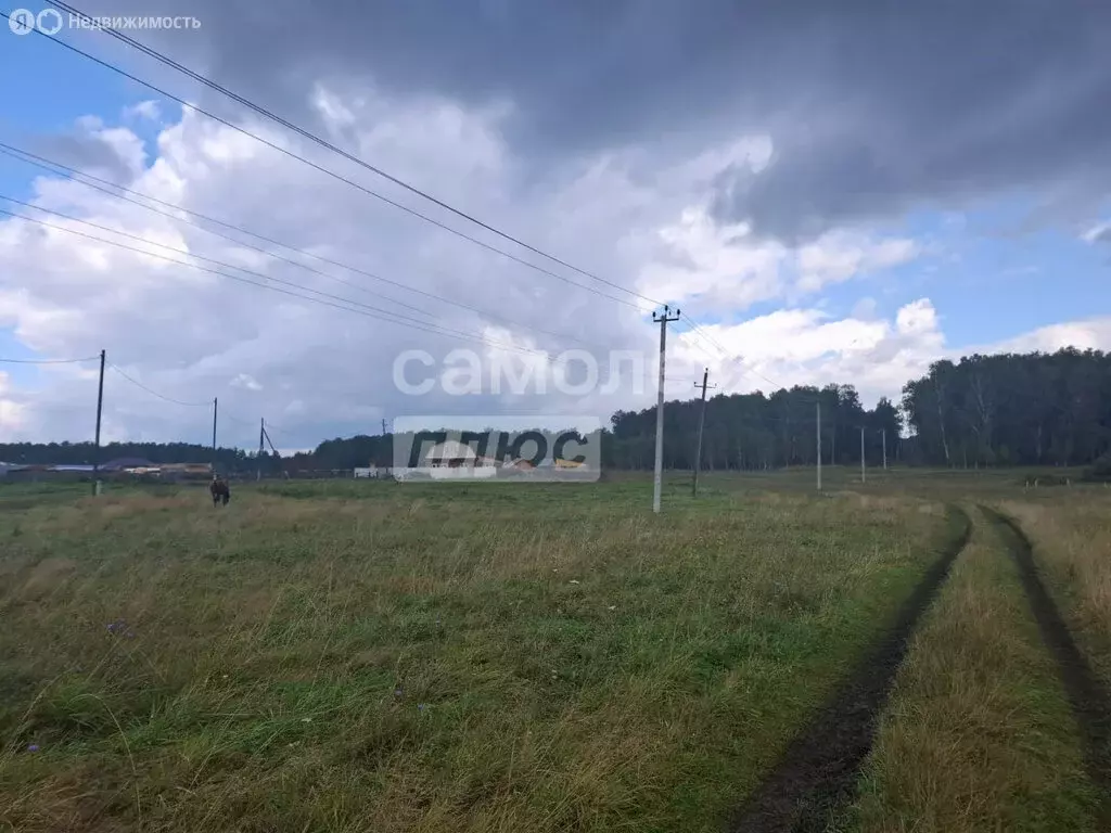 Участок в Челябинская область, Сосновский муниципальный округ, деревня ... - Фото 1