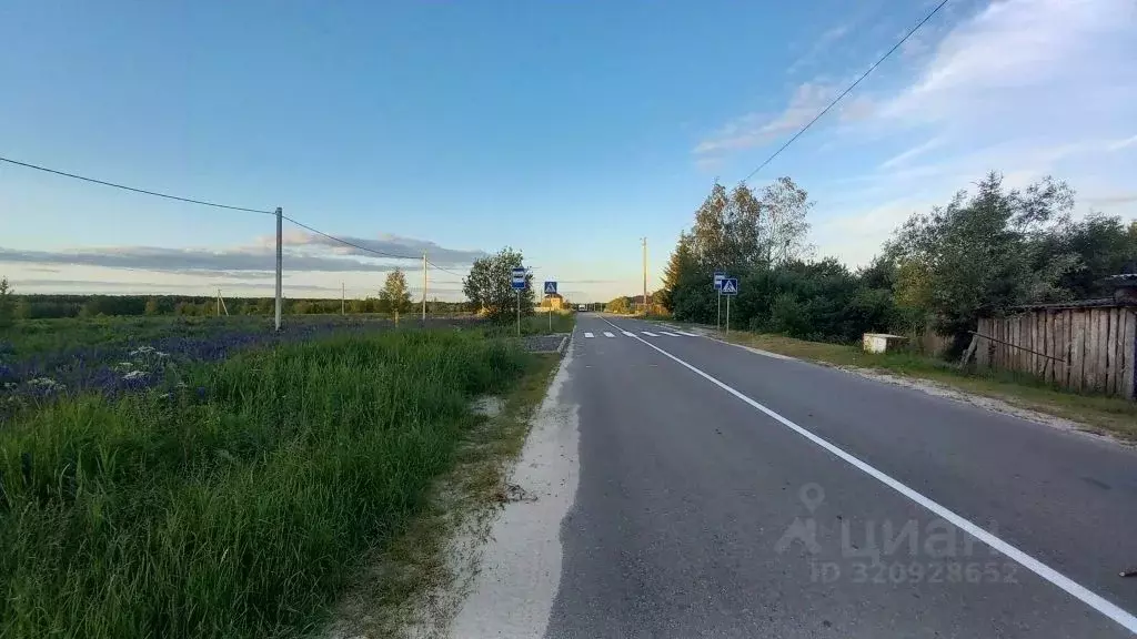 Участок в Владимирская область, Владимир д. Шепелево,  (14.9 сот.) - Фото 2