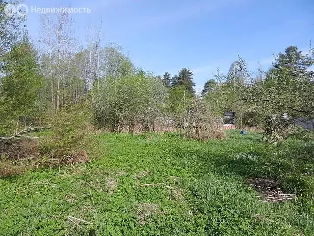 Участок в Ленинградская область, Тосненское городское поселение, село ... - Фото 1