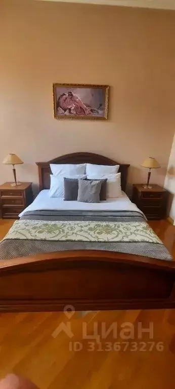 Студия Ростовская область, Ростов-на-Дону ул. Шаумяна, 94 (25.0 м) - Фото 1