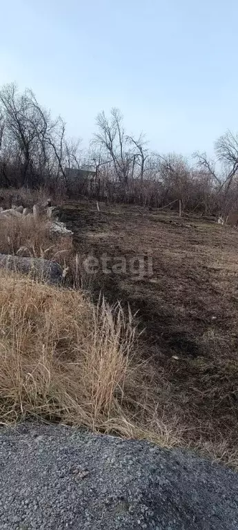 Участок в Воронежская область, Новоусманский район, Усманское 1-е ... - Фото 1