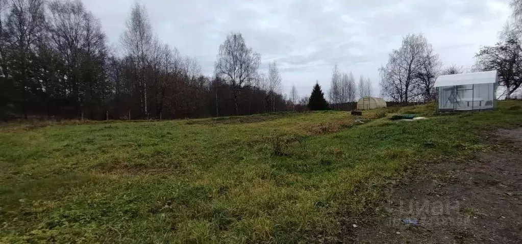 Участок в Костромская область, Костромской район, Самсоновское с/пос, ... - Фото 1