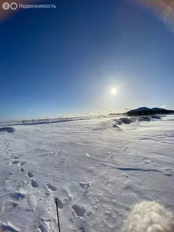 Участок в Оренбургский район, Сергиевский сельсовет, село Приютово, ... - Фото 1