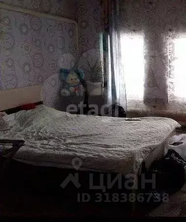 Дом в Курганская область, Шатровский муниципальный округ, д. Могилева ... - Фото 1