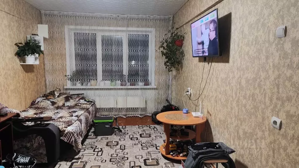 1-к кв. Красноярский край, Ачинск ул. Дружбы Народов, 2 (30.6 м) - Фото 2