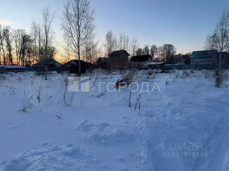 Участок в Новосибирская область, Новосибирский район, Верх-Тулинский ... - Фото 0