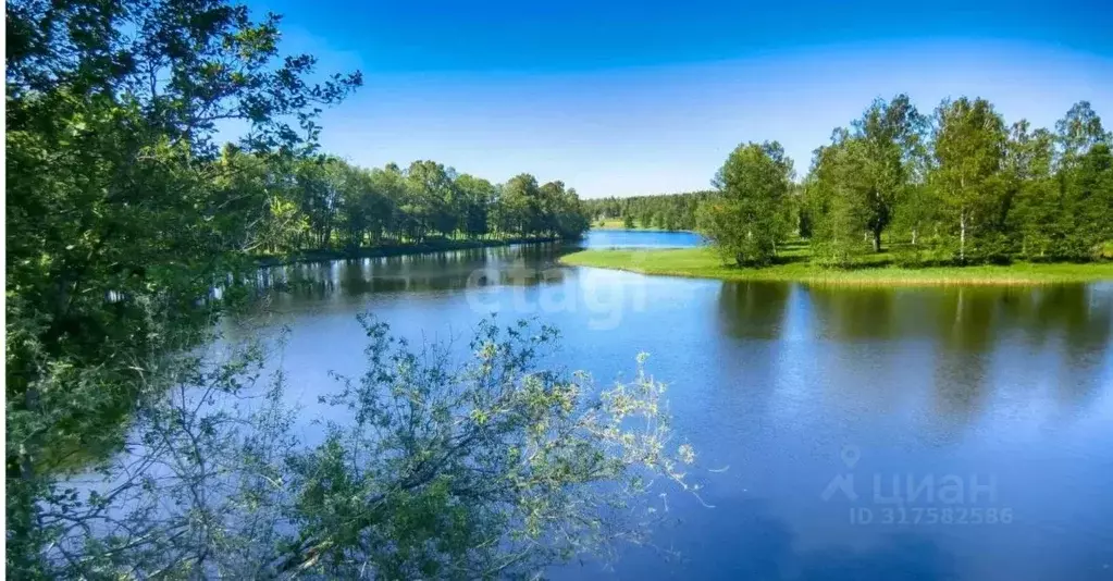 Участок в Белгородская область, Шебекинский муниципальный округ, с. ... - Фото 2