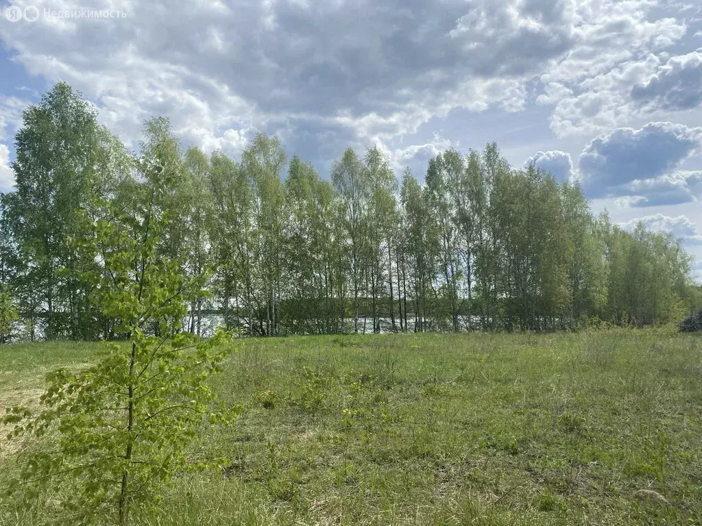 Участок в Нижегородская область, муниципальный округ Чкаловск, деревня ... - Фото 1