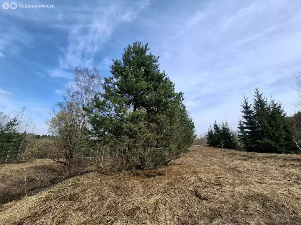 Участок в Москва, ТАО, район Вороново, деревня Свитино (110 м) - Фото 1